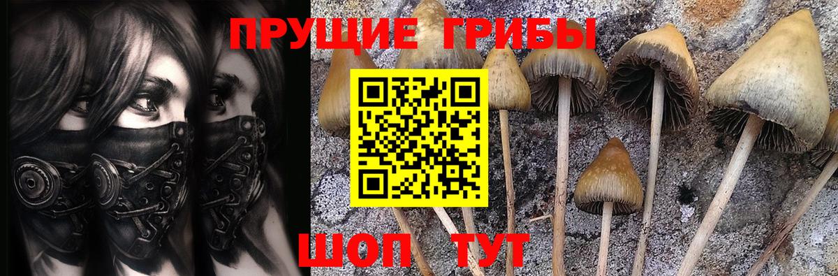 Псилоцибиновые грибы Magic Shrooms Губаха